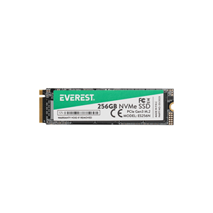 EVEREST ES256N 256GB 3D NAND Flash 2500MB/1800MB PCIe Gen3 NVMe M.2 SSD